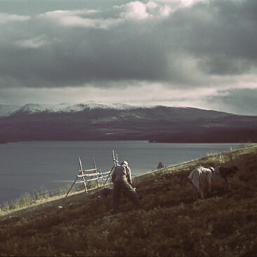 Fotograf: Gunnar Lundh